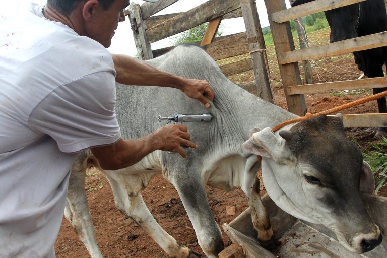 Foto: Arquivo/Agência Brasília