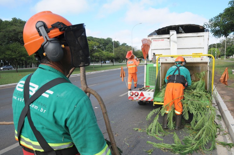 Ao todo, são 40 equipes, compostas por operadores de motosserra e motopoda, auxiliares de limpeza, técnico agrícola, engenheiros e encarregado de equipe, totalizando mais de 500 funcionários | Foto: Lúcio Bernardo Jr/Agência Brasília