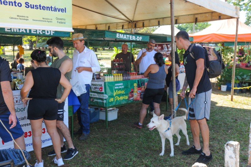 Foto: Paulo H. Carvalho/Agência Brasília