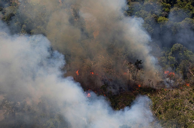 De acordo com projeto do senador Jorge Kajuru, áreas queimadas ilegalmente não poderão ser usadas para atividades como pecuária e plantio agrícola - Bruno Kelly/Amazônia Real