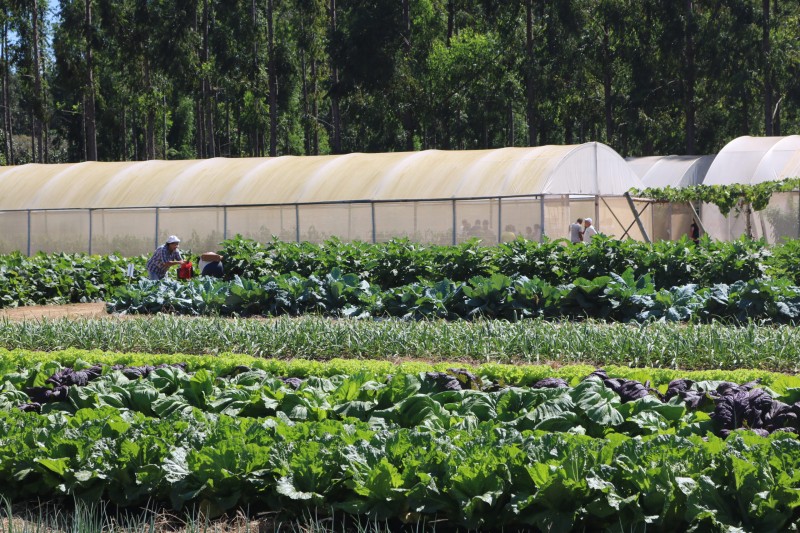 AgroBrasília: evento reúne informações e curiosidades para produtores e público em geral | Foto: Divulgação/Emater