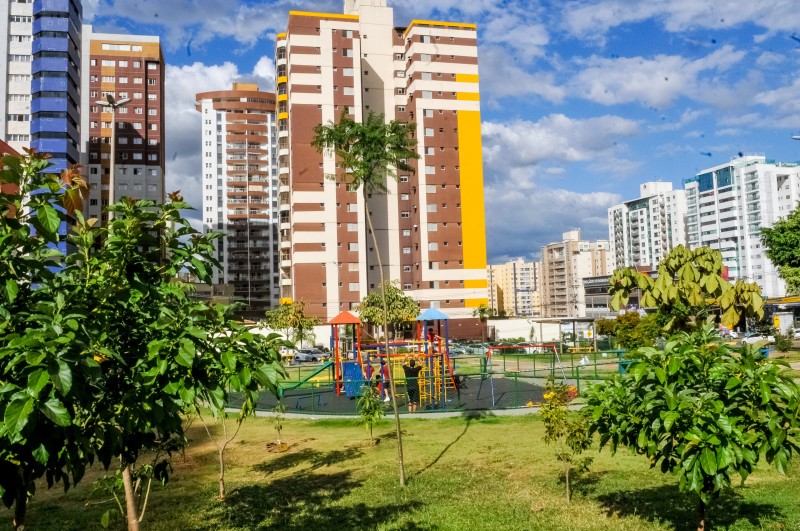 Debora Cronemberger Mendes Pereira