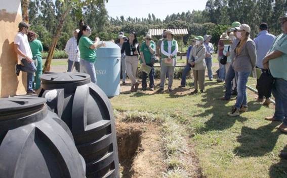 | Foto: Divulgação/Emater-DF