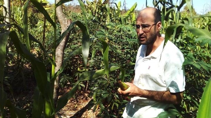 Produtor Agroflorestal Gabriel Pereira Foto: Divulgação/Emater-DF
