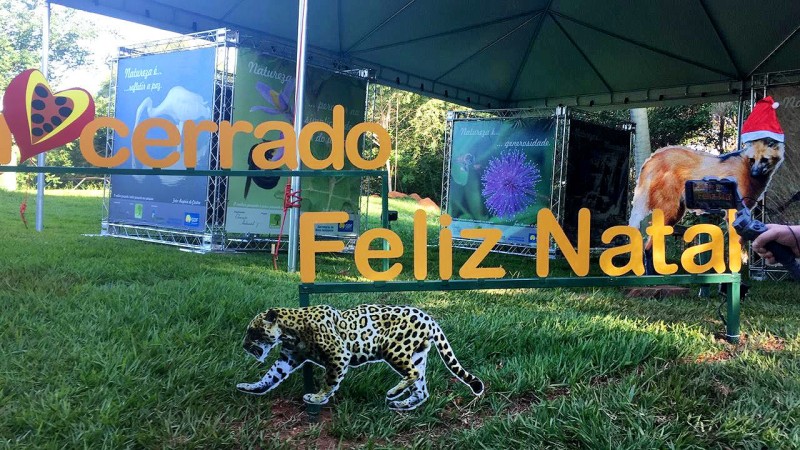 Foto: Reprodução/Secom DF