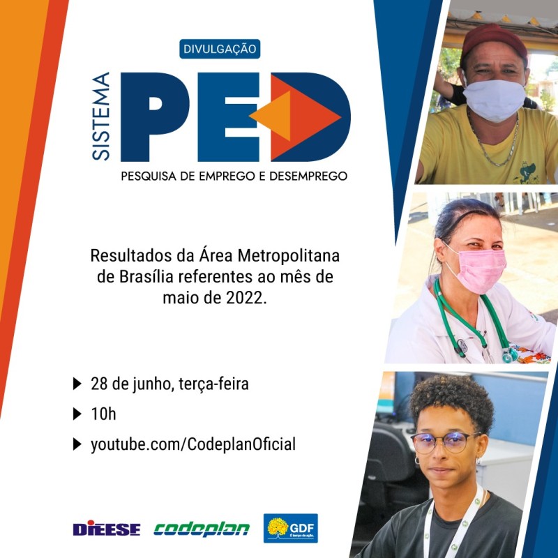Debora Cronemberger Mendes Pereira