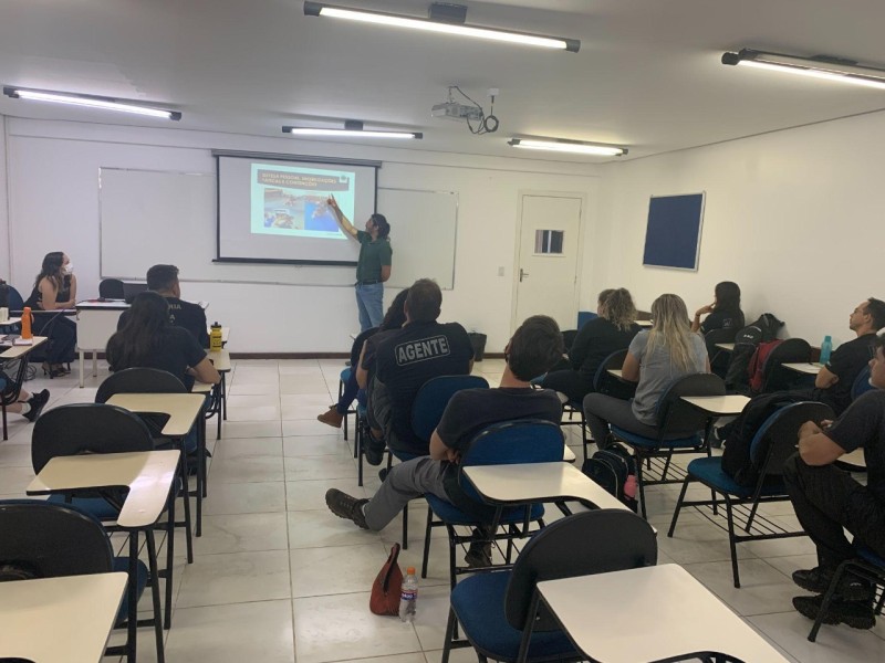 Debora Cronemberger Mendes Pereira