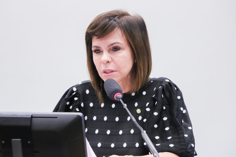 Deputada Professora Dorinha, relatora do projeto de lei - (Foto: Wesley Amaral/Câmara dos Deputados)