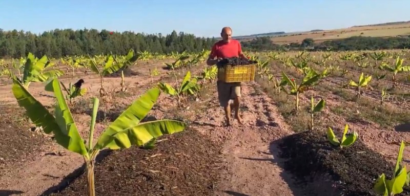 Dono de uma propriedade na área rural de Planaltina, Claudio Marcio Romanio utiliza o material orgânico para auxiliar na implantação de um bananal | Foto Divulgação Neoenergia
