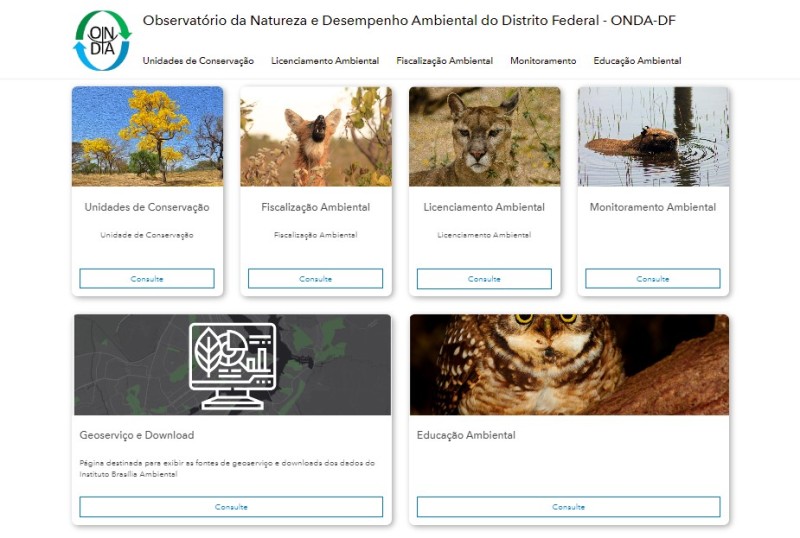 Segundo o coordenador do Onda, Guilhermino Rocha, “dentro do observatório, é possível evoluir e tratar os dados, enxergar as informações, não só distribuir dados espaciais brutos\