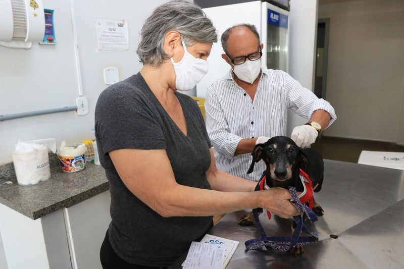 A imunização é indicada para animais com pelo menos três meses de idade, incluindo as gestantes | Foto Sandro Araújo - Agência Saúde DF
