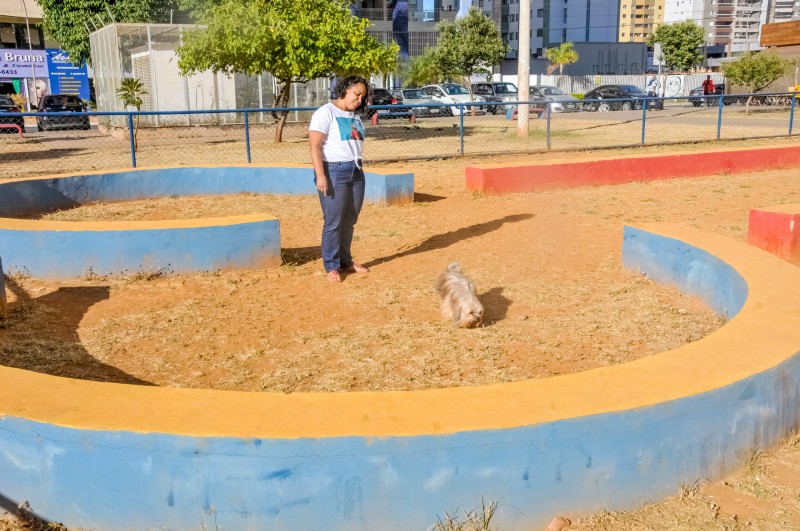 Foto: Renato Araújo / Agência Brasília