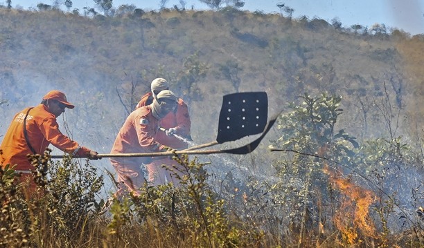 Foto: Divulgação/Brasília Ambiental