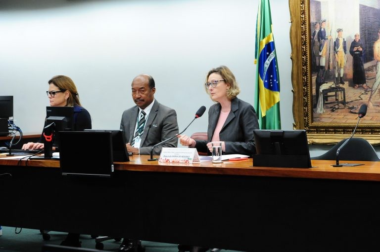 Maria do Rosário é a relatora da proposta - (Foto: Billy Boss/Câmara dos Deputados)
