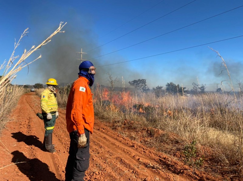 A contratação dos 150 brigadistas faz parte do Plano de Prevenção de Combate aos Incêndios Florestais (PPCIF), da Secretaria do Meio Ambiente (Sema), com objetivo de prevenir e combater incêndios florestais nas unidades de conservação espalhadas pelo DF |
