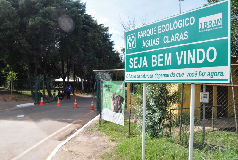 Chico Neto