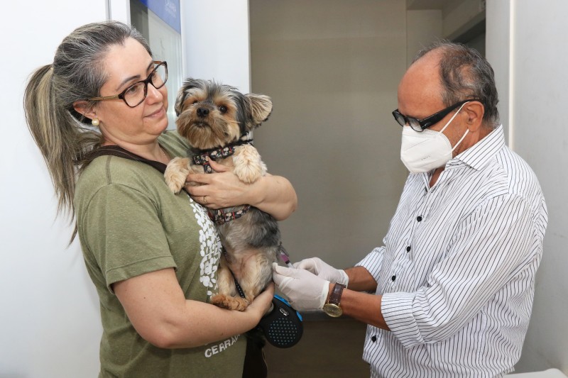 Desde o início da campanha de vacinação antirrábica de 2022, em 6 de julho, mais de 64 mil animais foram vacinados no Distrito Federal | Fotos: Sandro Araújo
