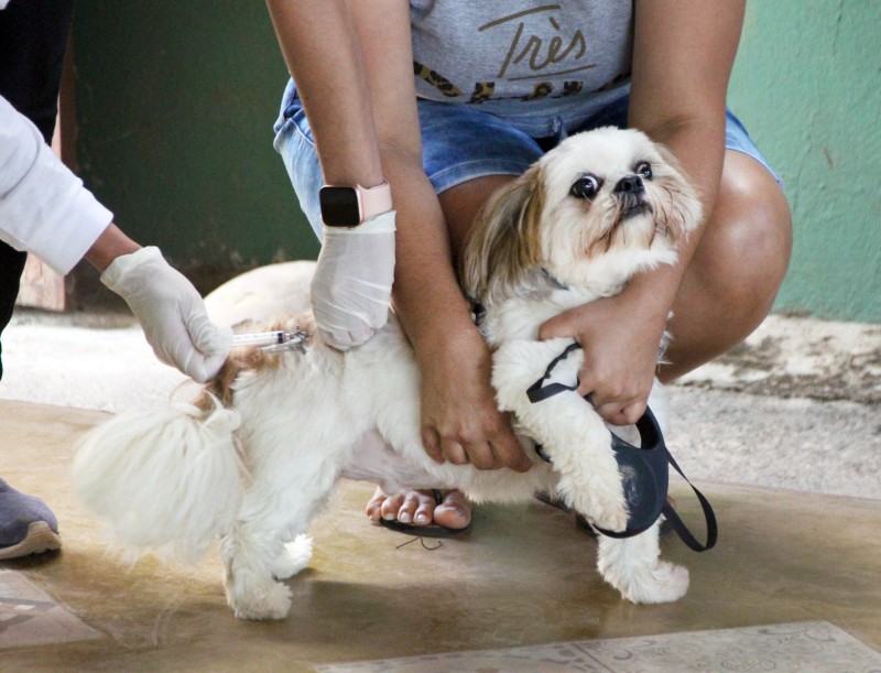 Chico Neto