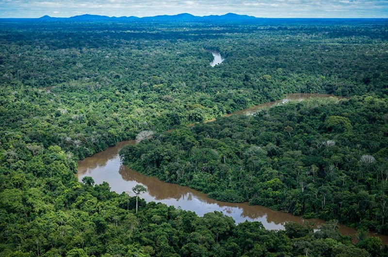 Terra Indígena Pirititi, em Roraima, é alvo de ocupação ilegal e sofre com desmatamento - Felipe Werneck/Ibama