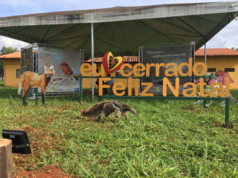 Foto: Reprodução/Secom DF