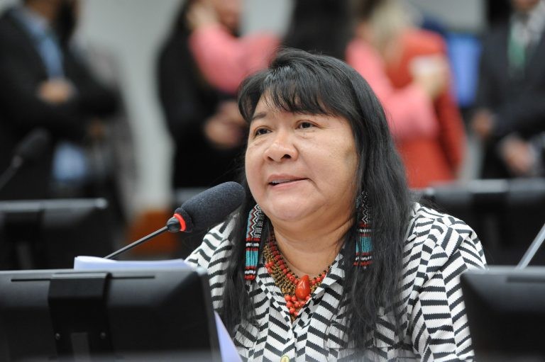 Joenia: estamos vivendo uma série de riscos ambientais e sociais - (Foto: Billy Boss/Câmara dos Deputados)