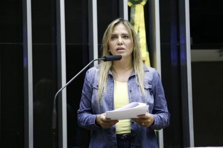 Celina Leão, relatora do projeto - (Foto: Elaine Menke/Câmara do Deputados)