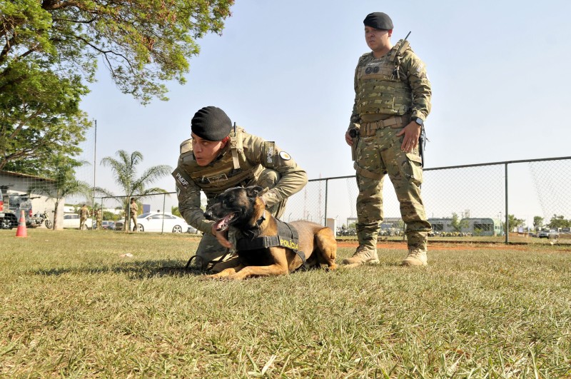 Foto: Lucio Bernardo Jr/Agência Brasília