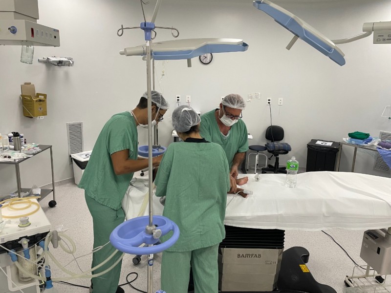Foto: Reprodução/Secom Goiás