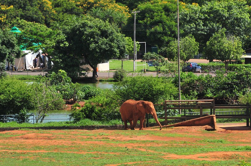 Foto: Reprodução/Secom DF