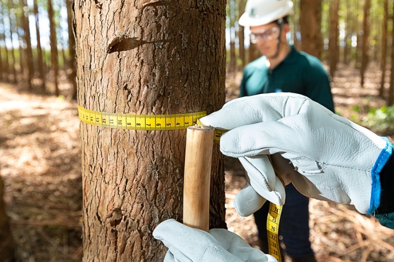 | Foto: Brasília Ambiental