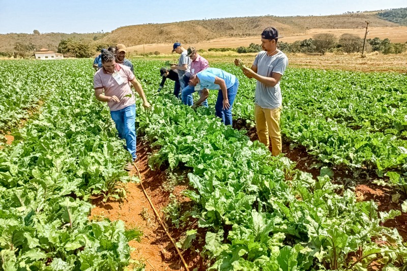 Foto: Divulgação Emater DF