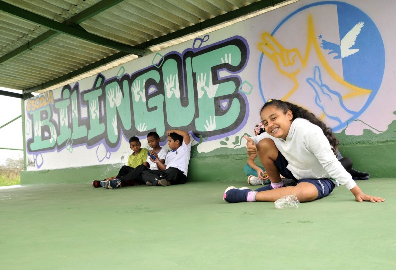 Debora Cronemberger Mendes Pereira