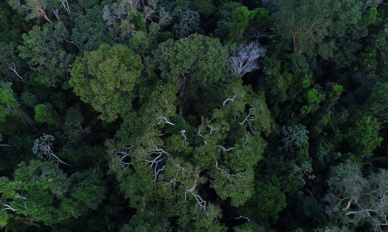Foto: Divulgação/TV Brasil