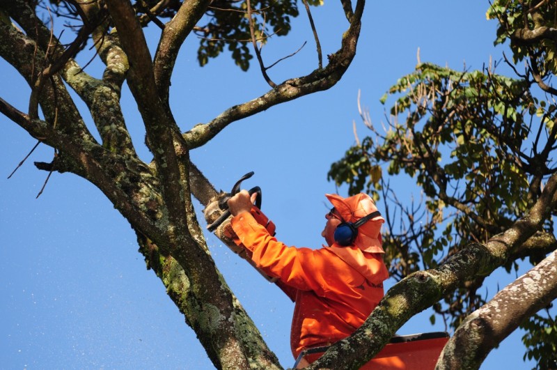 Foto: Reprodução/Secom DF