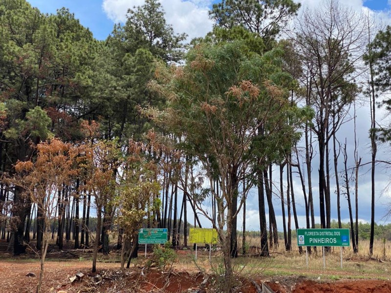 o estudo técnico produzido para redefinir a poligonal já está disponível para consulta no site da autarquia | Foto: Ascom/ Brasília Ambiental
