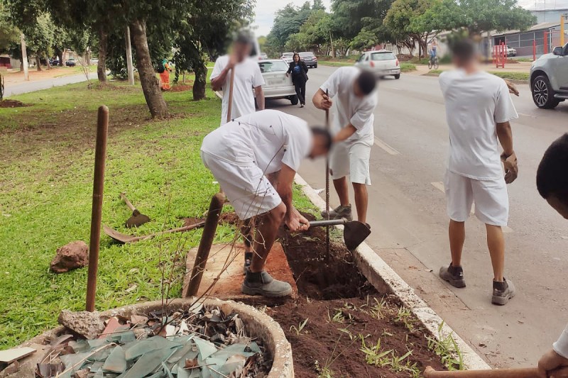 Foto: Divulgação/GDF Presente