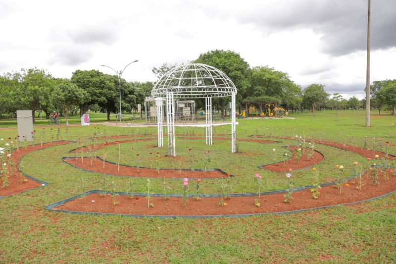 Foto: Tony Oliveira/Agência Brasília