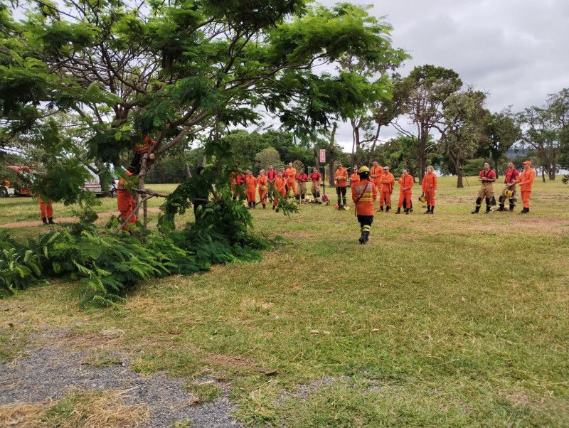 Foto: Brasília Ambiental