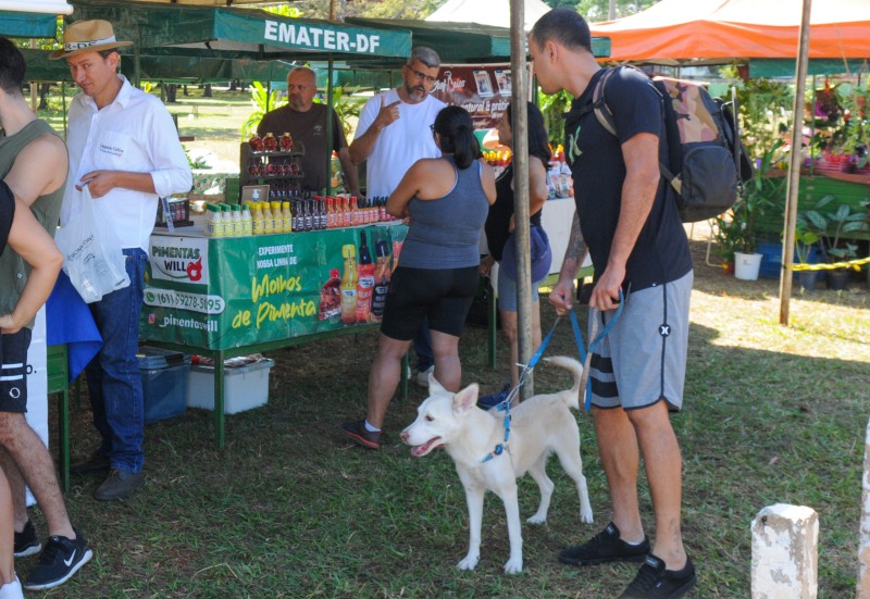 Foto: Paulo H. Carvalho/Agência Brasília