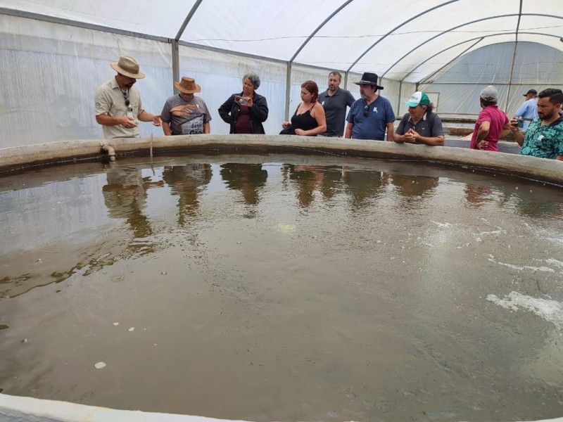 O ciclo de encontros começa no dia 14 de fevereiro, com o minicurso sobre a produção de peixes em sistemas de recirculação de água | Foto: Seagri