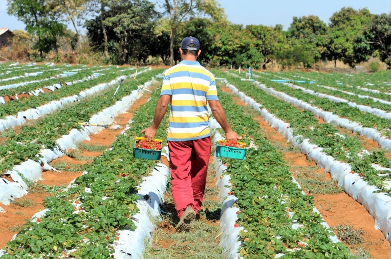Foto: Paulo H. Carvalho / Agência Brasília