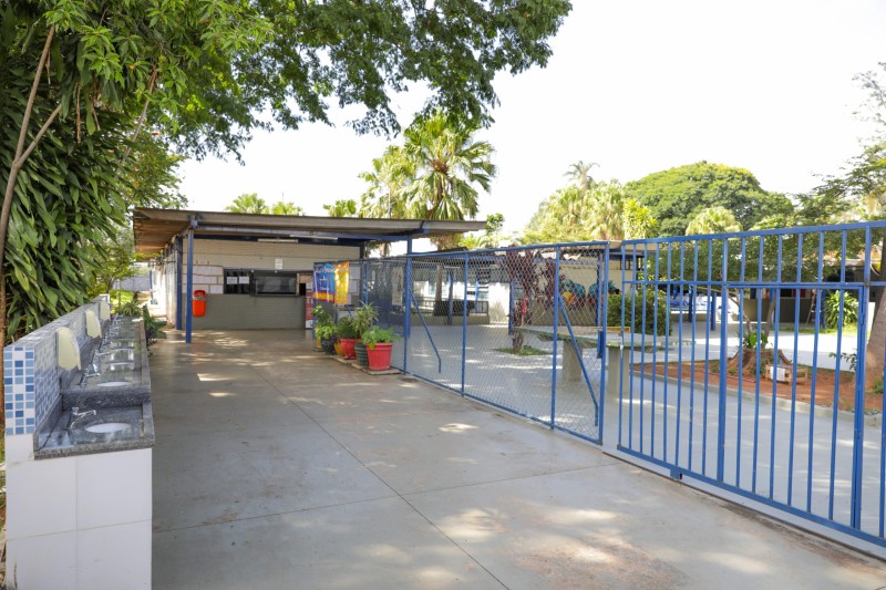 Debora Cronemberger Mendes Pereira