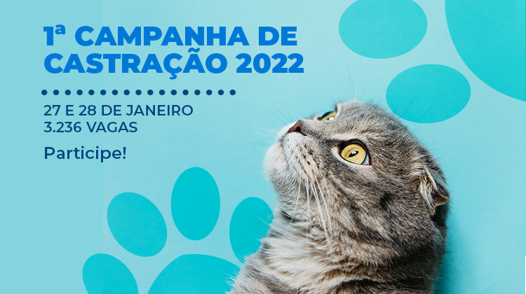 Foto: Reprodução/Secom DF
