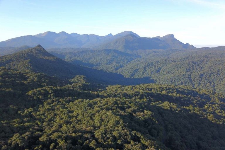 Mata Atlântica na Serra do Mar, no Paraná - (Foto: José Fernando Ogura/Agência de Notícias do Paraná)