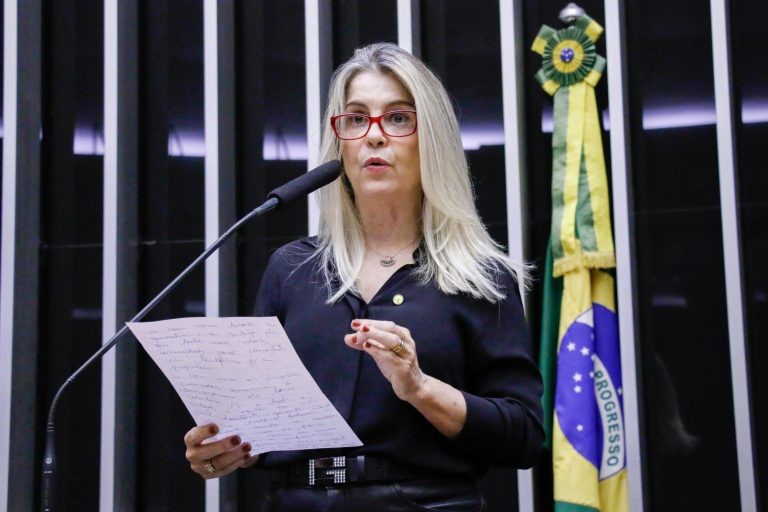 Soraya Manato: medida irá permitir o correto atendimento do mercado interno - (Foto: Marina Ramos/Câmara dos Deputados)