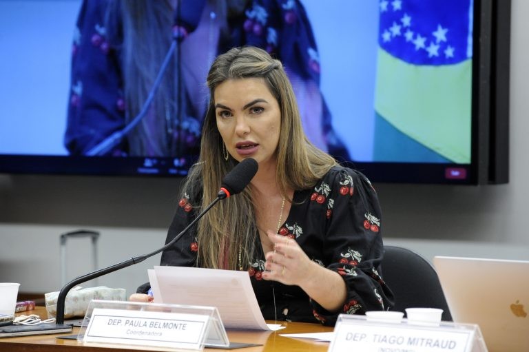 Paula Belmonte: hoje a dedução para a pessoa física é complicada e burocrática - (Foto: Gustavo Sales/Câmara dos Deputados)