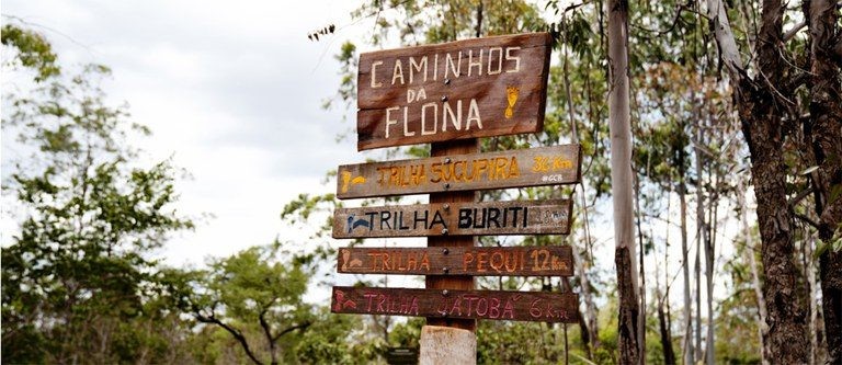 Placas indicam trilhas para turistas na Floresta Nacional de Brasília - (Foto: Ministério do Meio Ambiente)