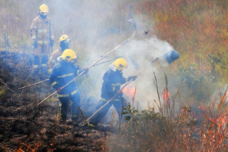 Fundo pode ser usado para ações de reparação a danos ambientais - (Foto: Acácio Pinheiro/Agência Brasília)
