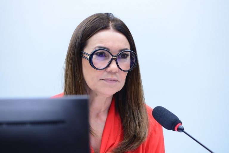 Margarete Coelho, relatora da proposta - (Foto: Billy Boss/Câmara dos Deputados)