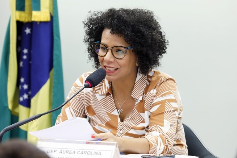 Áurea Carolina: proposta confere segurança jurídica aos gestores públicos - (Foto: Luis Macedo/Câmara dos Deputados)